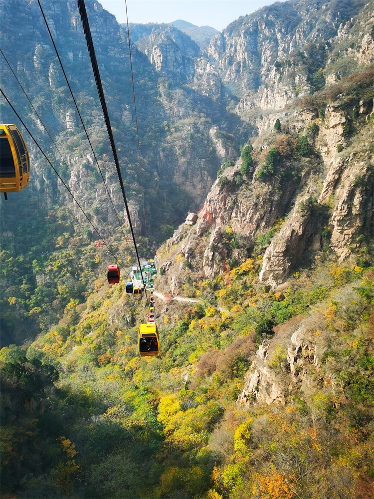 654899954e18d.jpg 654899954e18d.jpg